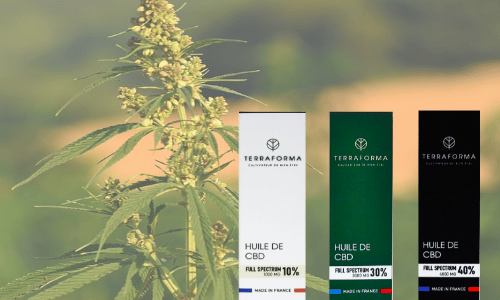 Pourquoi opter pour une huile de CBD